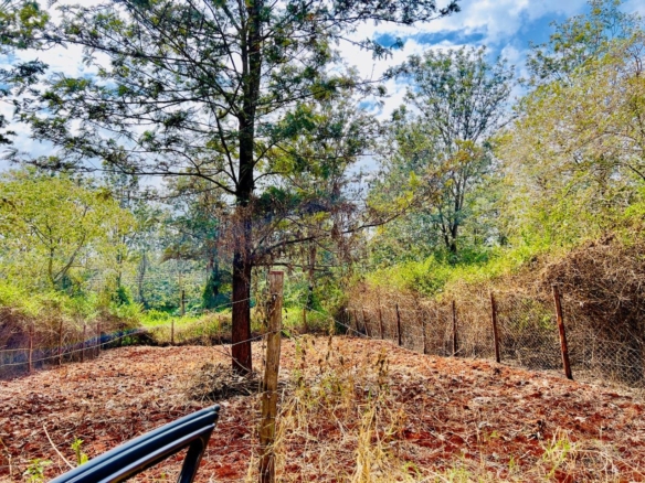 Oaklands plot for sale, Ruiru land, 50x100 plot Oaklands, land for sale Kiambu, Mkaazi Real Estate, Tatu City proximity