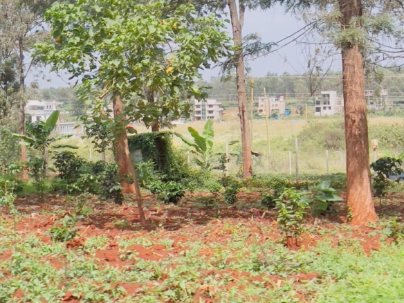 Oaklands plot for sale, Ruiru land, 50x100 plot Oaklands, land for sale Kiambu, Mkaazi Real Estate, Tatu City proximity