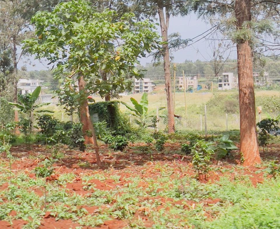 Oaklands plot for sale, Ruiru land, 50x100 plot Oaklands, land for sale Kiambu, Mkaazi Real Estate, Tatu City proximity