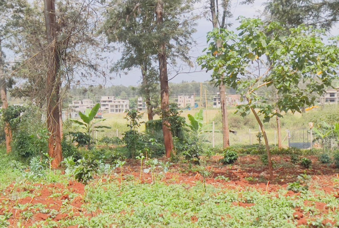 Oaklands plot for sale, Ruiru land, 50x100 plot Oaklands, land for sale Kiambu, Mkaazi Real Estate, Tatu City proximity