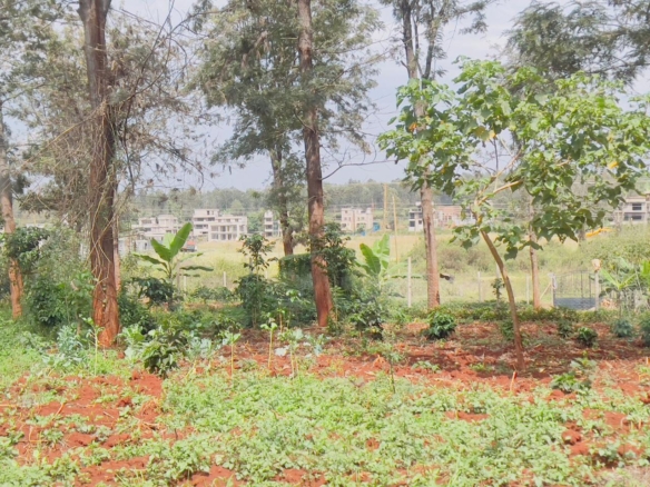 Oaklands plot for sale, Ruiru land, 50x100 plot Oaklands, land for sale Kiambu, Mkaazi Real Estate, Tatu City proximity
