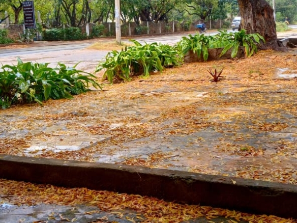 shop for rent Malindi, Lamu Road shops, Seaview Resort Malindi, Mabeshte Carwash, Gold International Malindi, international schools Malindi, Mkaazi Real Estate, Kilifi commercial space, affordable shops Malindi, Malindi Lamu Highway