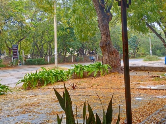 shop for rent Malindi, Lamu Road shops, Seaview Resort Malindi, Mabeshte Carwash, Gold International Malindi, international schools Malindi, Mkaazi Real Estate, Kilifi commercial space, affordable shops Malindi, Malindi Lamu Highway