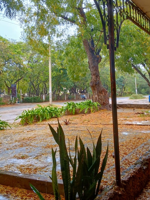 shop for rent Malindi, Lamu Road shops, Seaview Resort Malindi, Mabeshte Carwash, Gold International Malindi, international schools Malindi, Mkaazi Real Estate, Kilifi commercial space, affordable shops Malindi, Malindi Lamu Highway