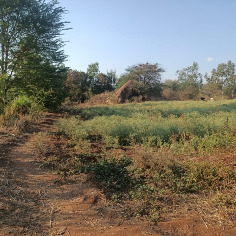 3 Acres for in Kithimani on the river