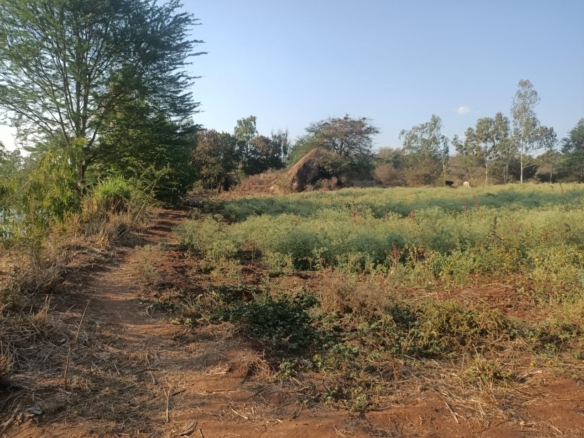 3 Acres for in Kithimani on the river