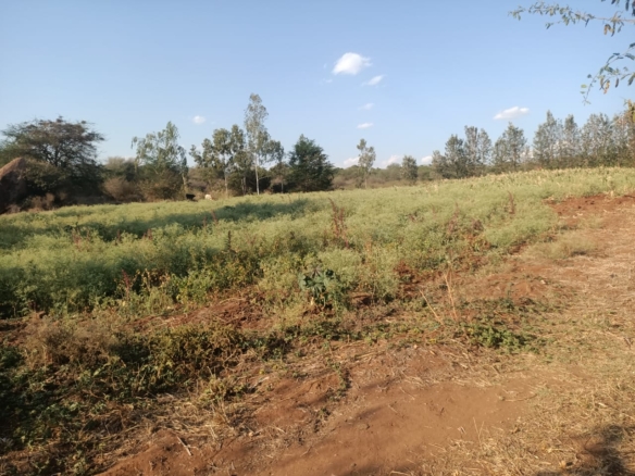 3 Acres for in Kithimani on the river