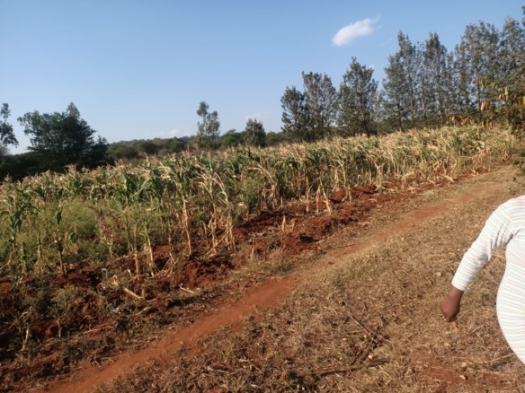 3 Acres for in Kithimani on the river