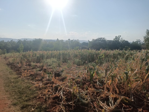 3 Acres for in Kithimani on the river