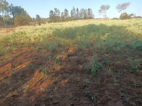 3 Acres for in Kithimani on the river