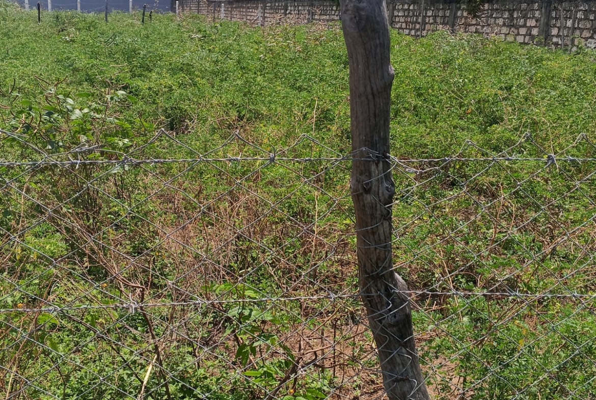 prime plot for sale in Malindi