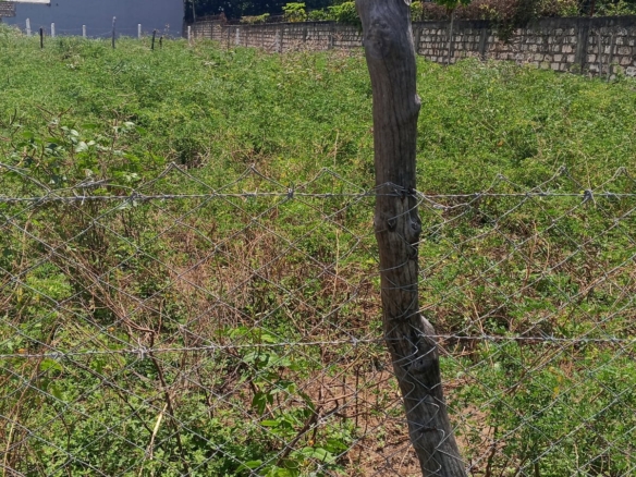 prime plot for sale in Malindi