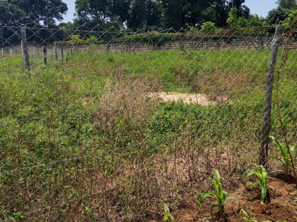 prime plot for sale in Malindi
