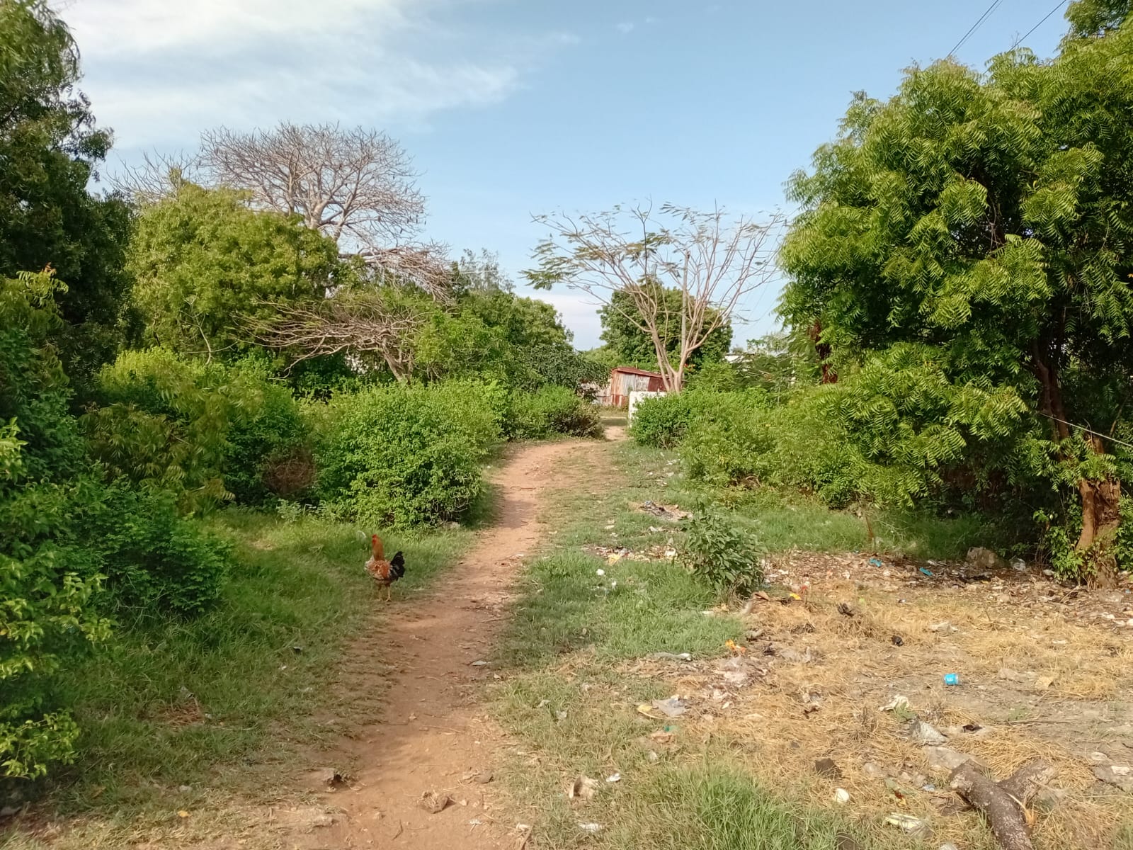 1.2 Acre for sale in Watamu