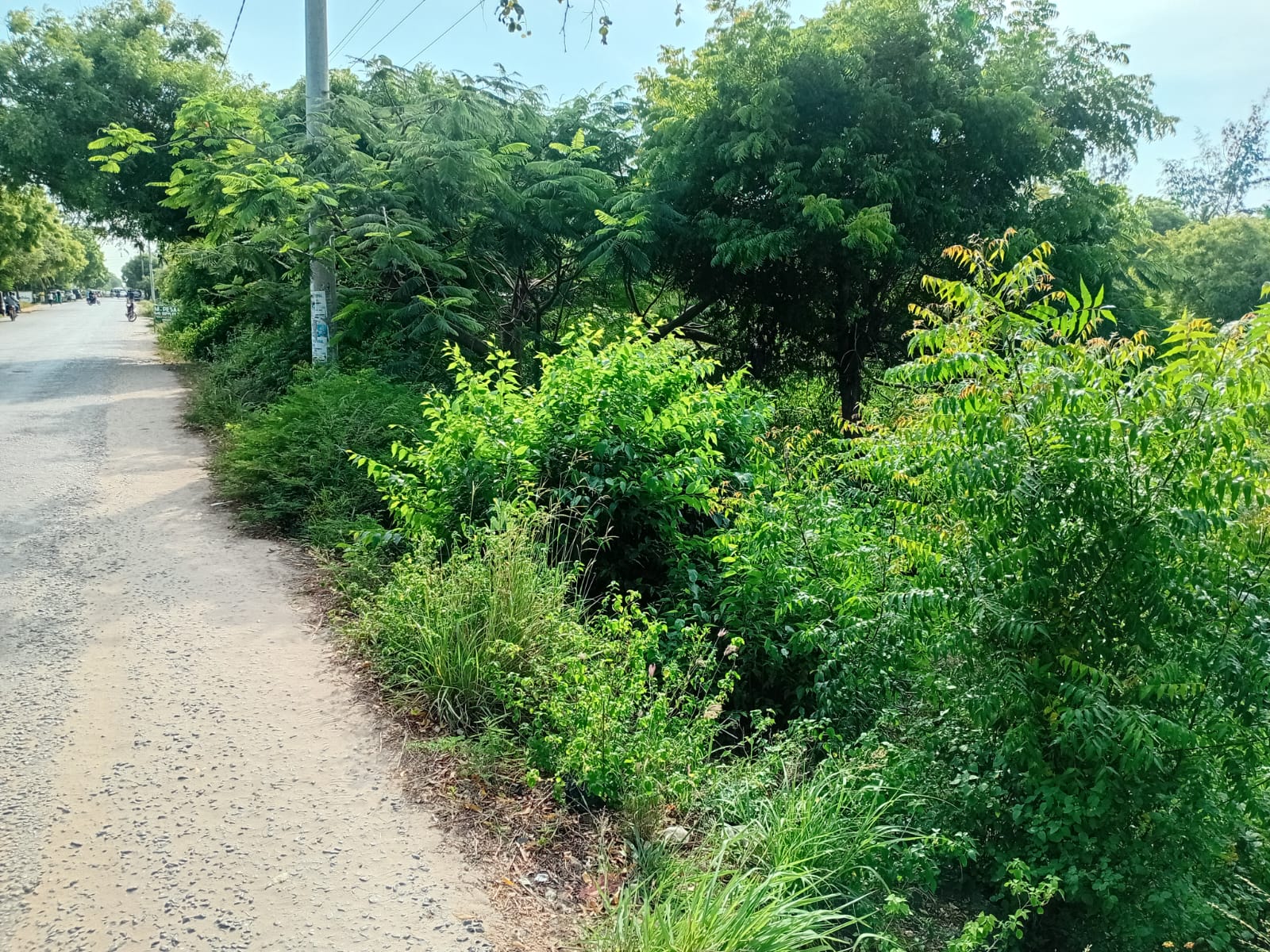 1.2 Acre for sale in Watamu