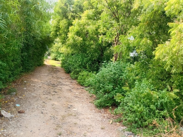 1.2 Acre for sale in Watamu