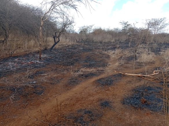 healthy read soil land for sale in kimana