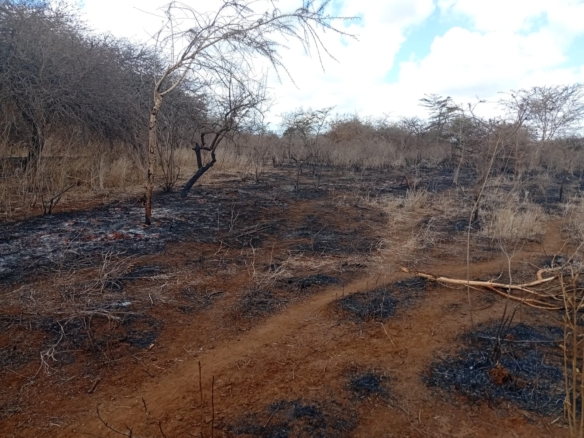 healthy read soil land for sale in kimana