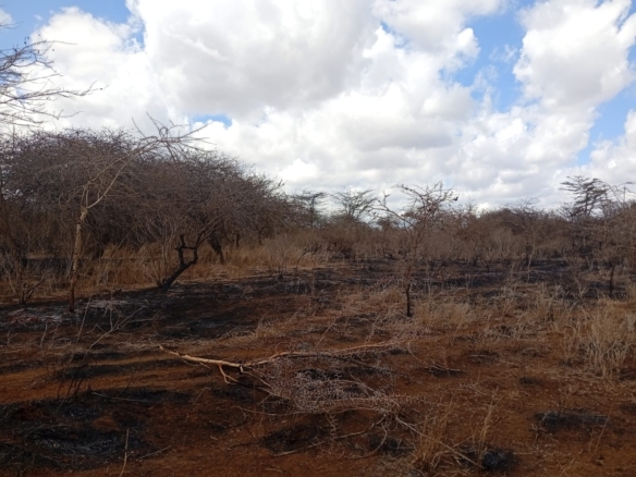 healthy read soil land for sale in kimana