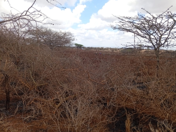 healthy read soil land for sale in kimana