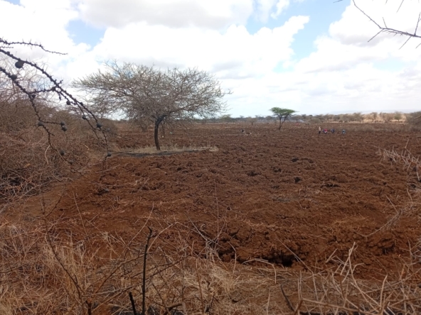 healthy read soil land for sale in kimana