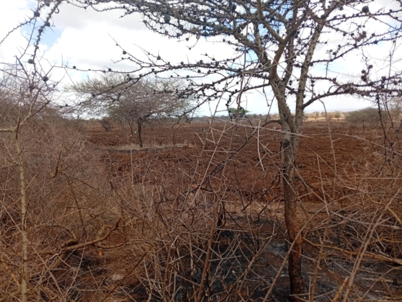 healthy read soil land for sale in kimana