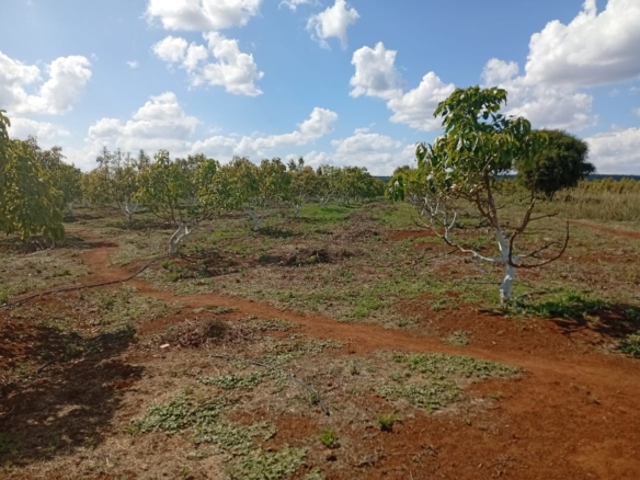Owm a land in Rombo Kajiado county