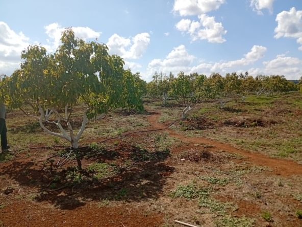 Owm a land in Rombo Kajiado county