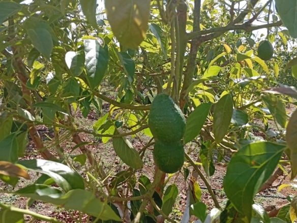 Owm a land in Rombo Kajiado county