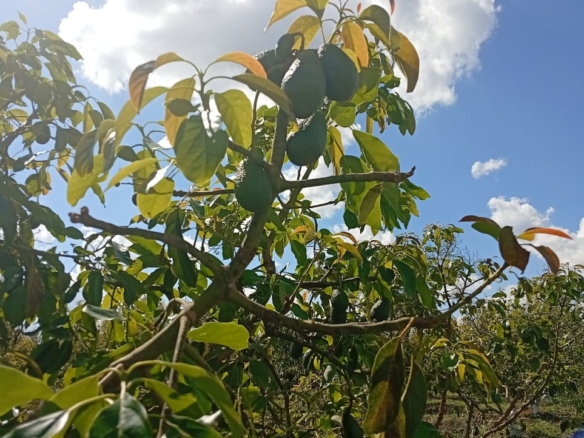 Owm a land in Rombo Kajiado county