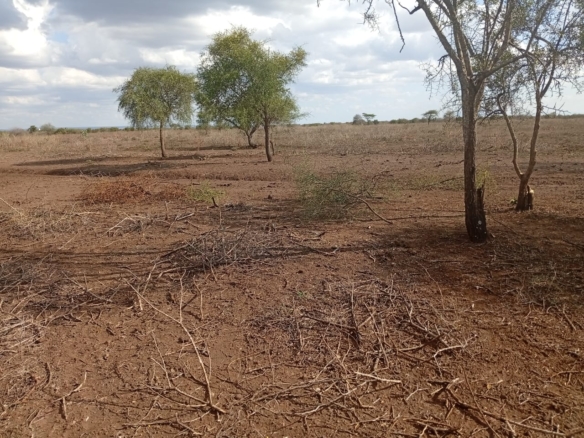 Fertile loamy soil land for sale in Kajiado County