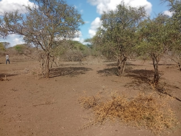 healthy loamy soil land for sale in Kajiado County
