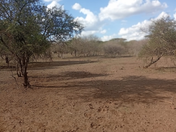 healthy loamy soil land for sale in Kajiado County
