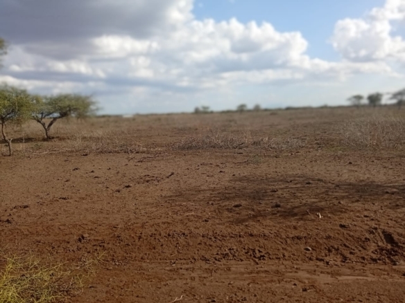 healthy loamy soil land for sale in Kajiado County