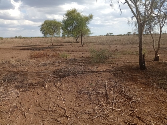healthy loamy soil land for sale in Kajiado County