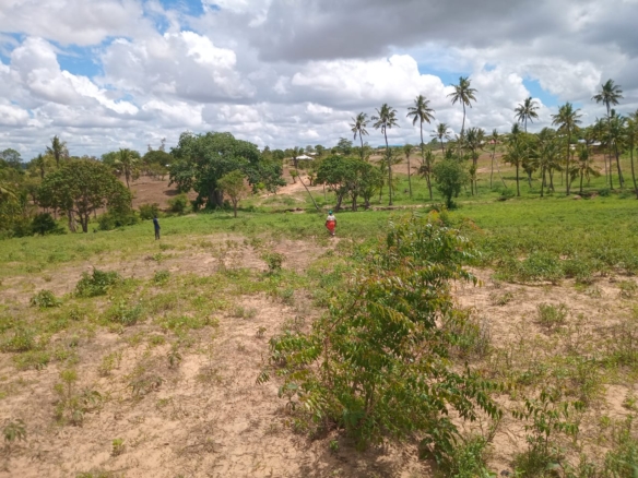 Affordable Land in Mazeras – 1.5 Acres for Sale, Kasemeni