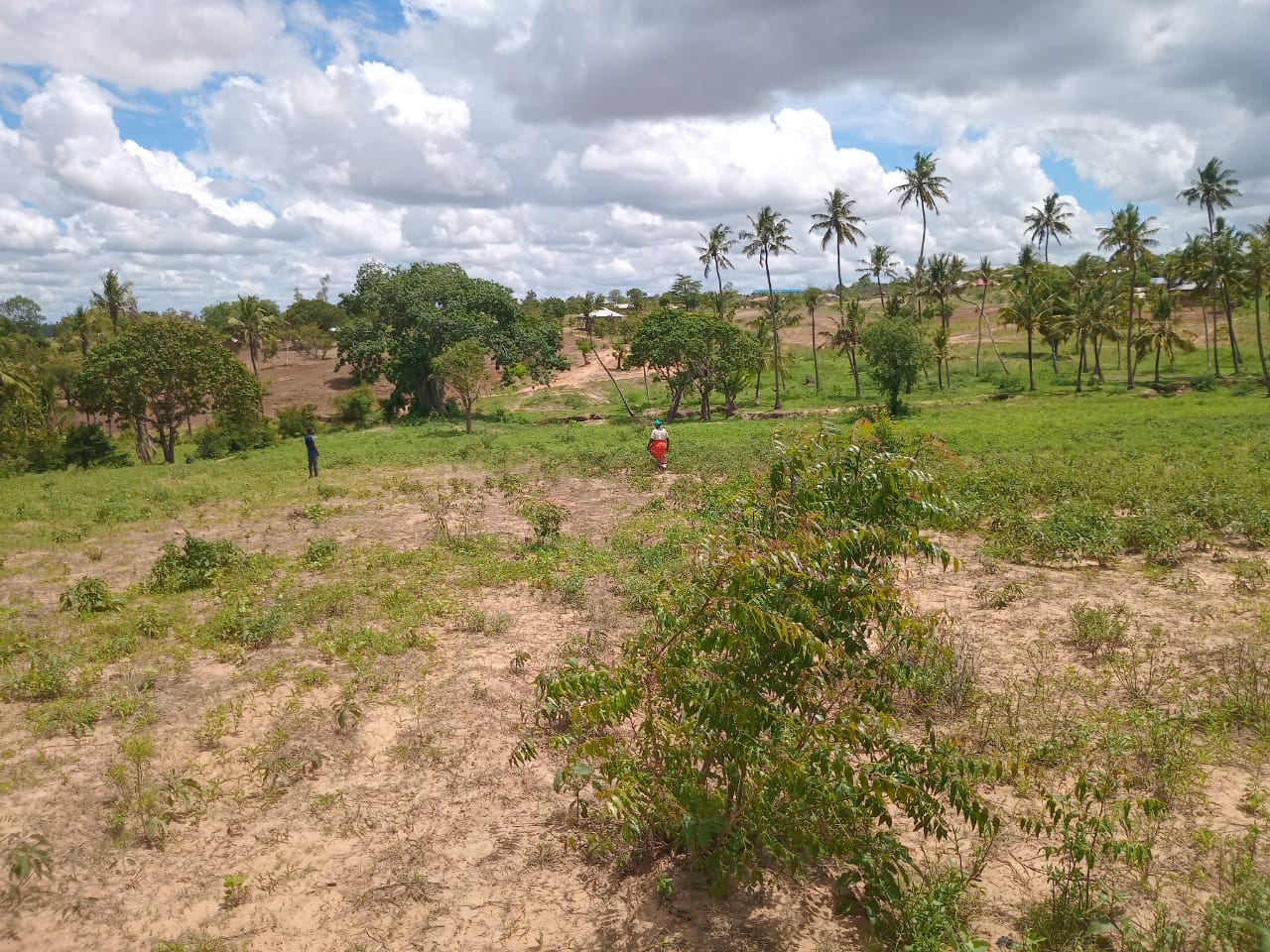Affordable Land in Mazeras – 1.5 Acres for Sale, Kasemeni