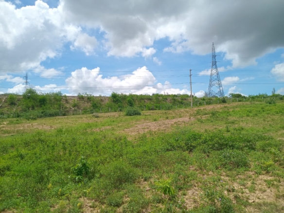 Affordable Land in Mazeras – 1.5 Acres for Sale, Kasemeni