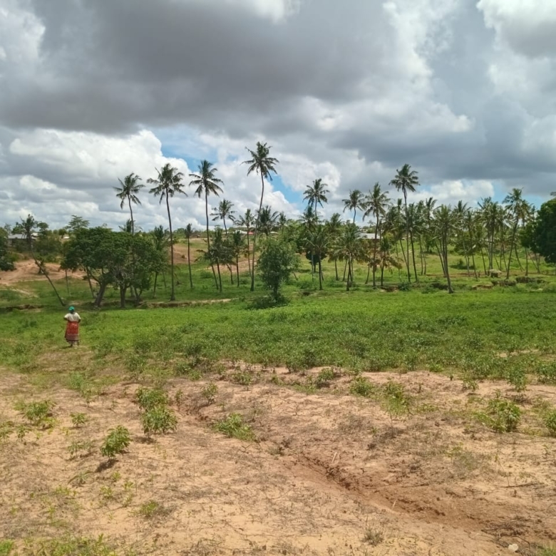 Affordable Land in Mazeras – 1.5 Acres for Sale, Kasemeni