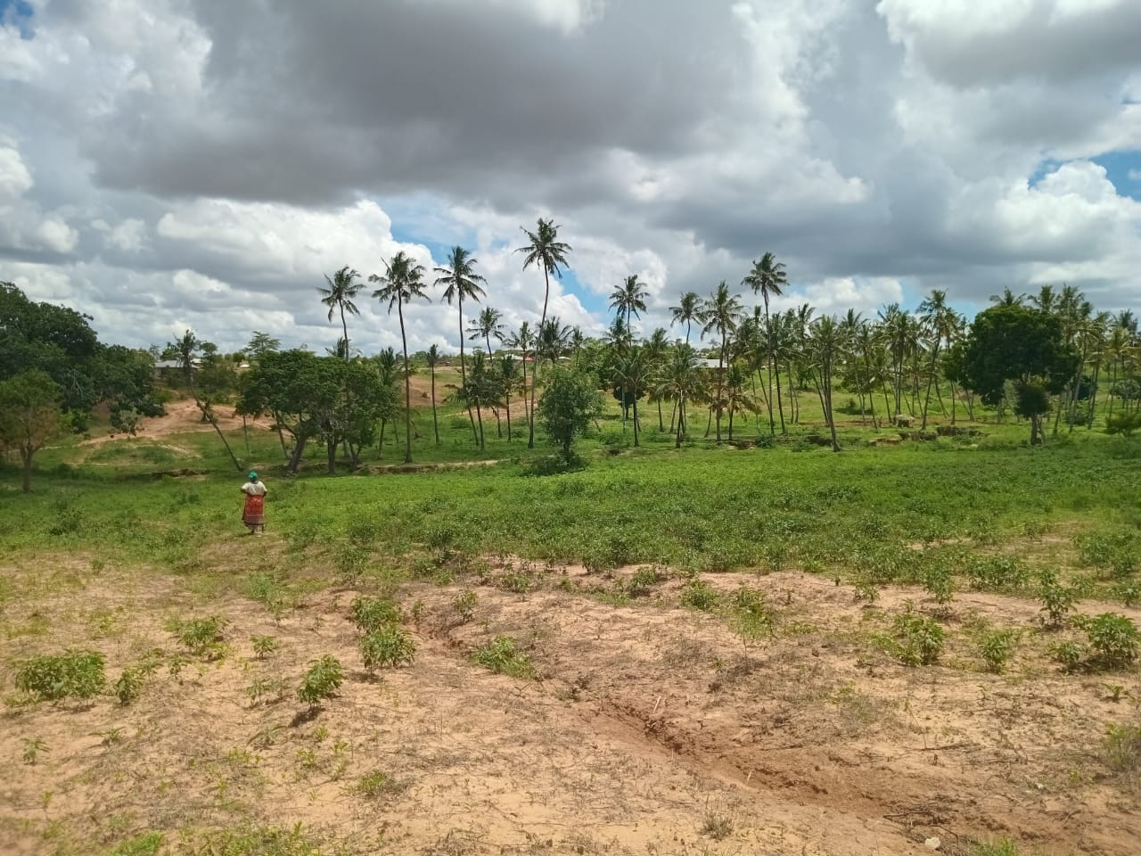 Affordable Land in Mazeras – 1.5 Acres for Sale, Kasemeni