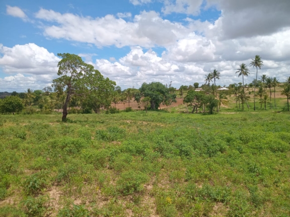 Affordable Land in Mazeras – 1.5 Acres for Sale, Kasemeni