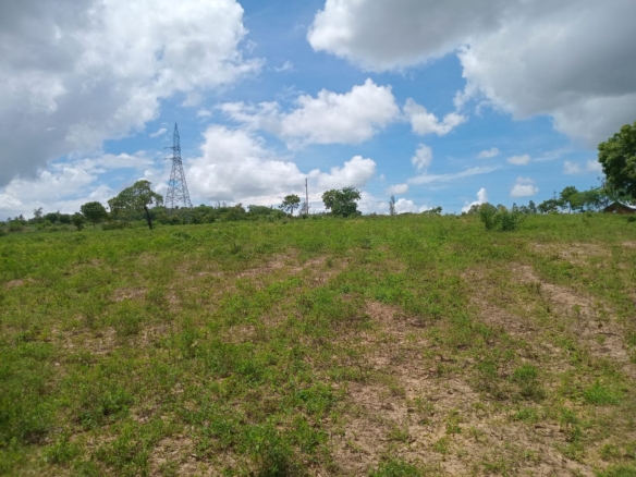 Affordable Land in Mazeras – 1.5 Acres for Sale, Kasemeni