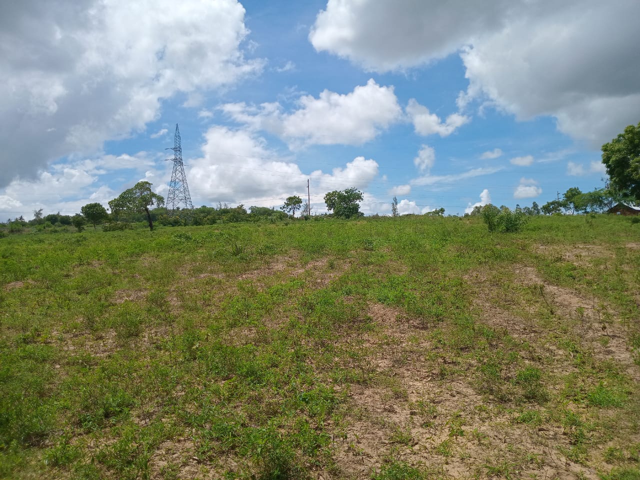 Affordable Land in Mazeras – 1.5 Acres for Sale, Kasemeni