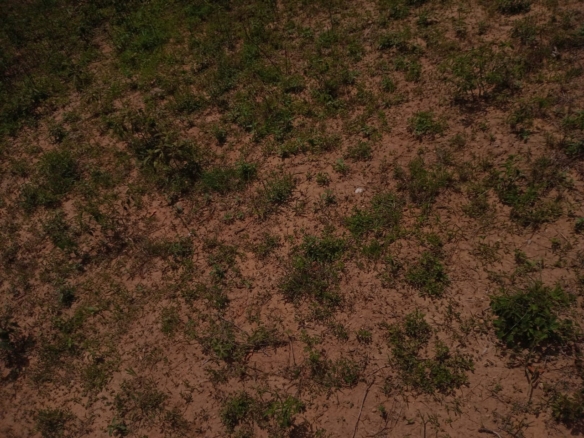 Affordable Land in Mazeras – 1.5 Acres for Sale, Kasemeni