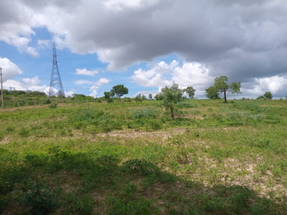 Affordable Land in Mazeras – 1.5 Acres for Sale, Kasemeni