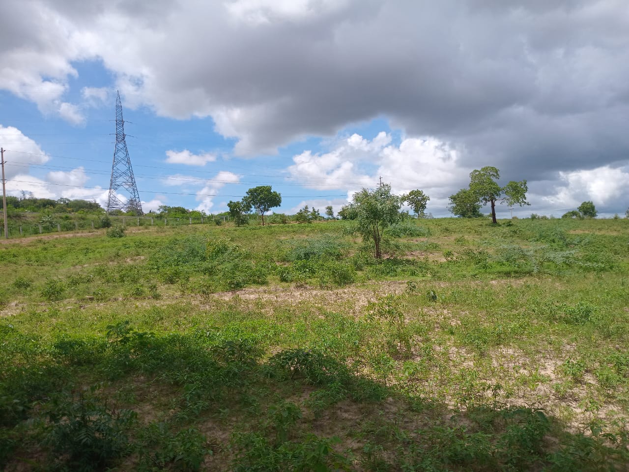 Affordable Land in Mazeras – 1.5 Acres for Sale, Kasemeni