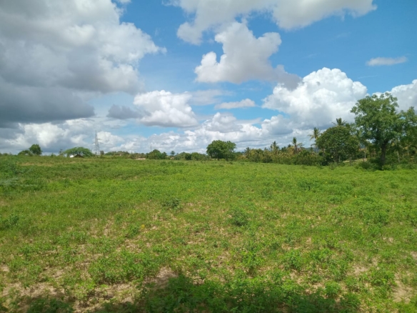 Affordable Land in Mazeras – 1.5 Acres for Sale, Kasemeni