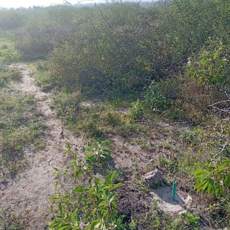 “Aerial view of Lukenya hills and surrounding area showing ¼-acre plot for sale near Daystar University, Machakos County, Kenya.”