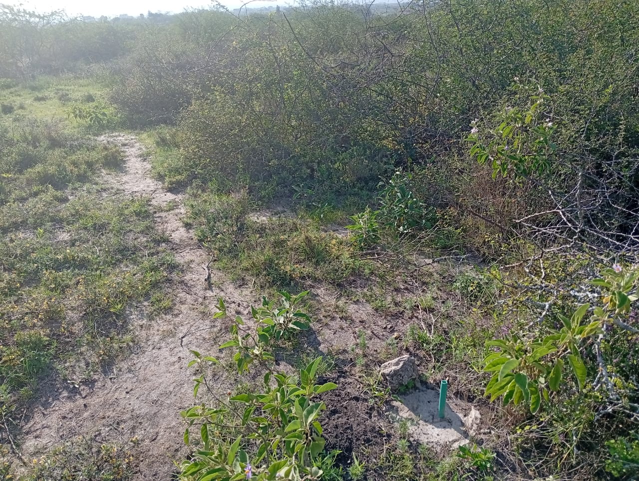 “Aerial view of Lukenya hills and surrounding area showing ¼-acre plot for sale near Daystar University, Machakos County, Kenya.”