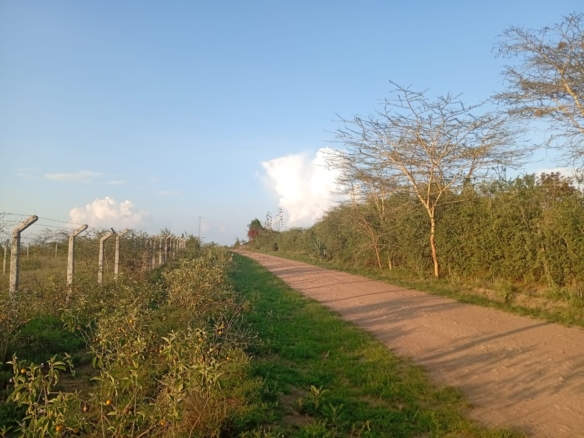 “Aerial view of Lukenya hills and surrounding area showing ¼-acre plot for sale near Daystar University, Machakos County, Kenya.”